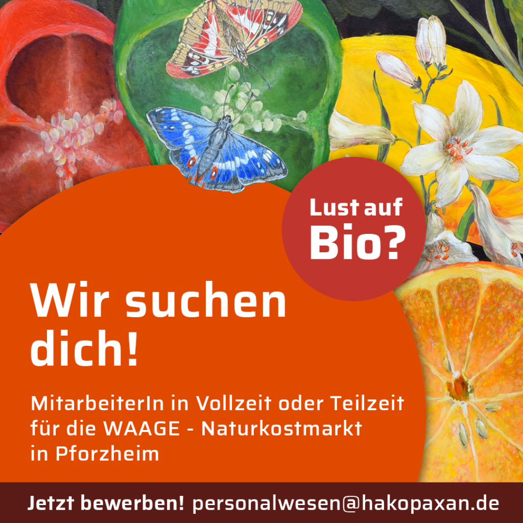 Wir suchen zum nächstmöglichen Zeitpunkt!